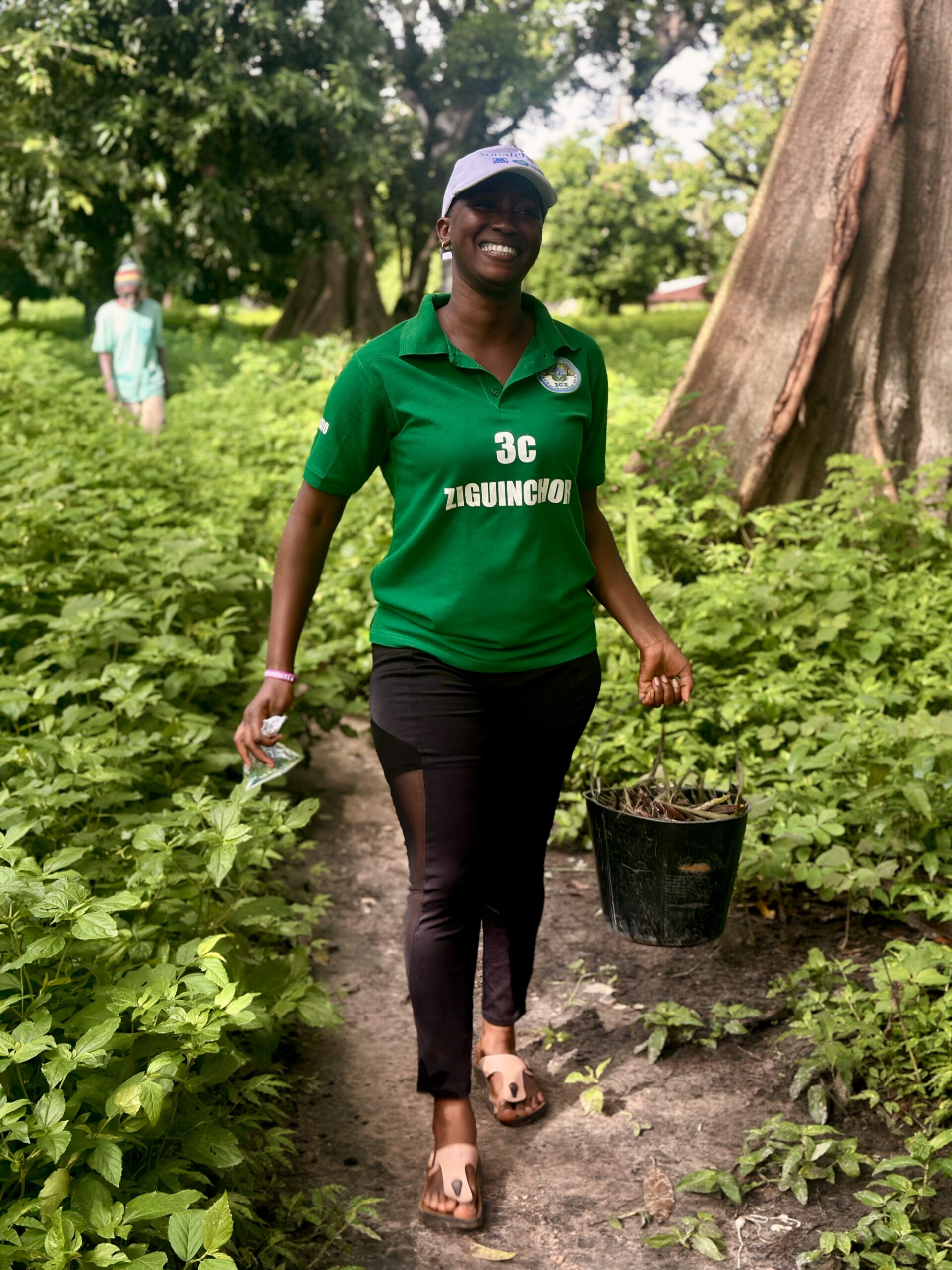 Volontaires lors du reboisement de la mangrove