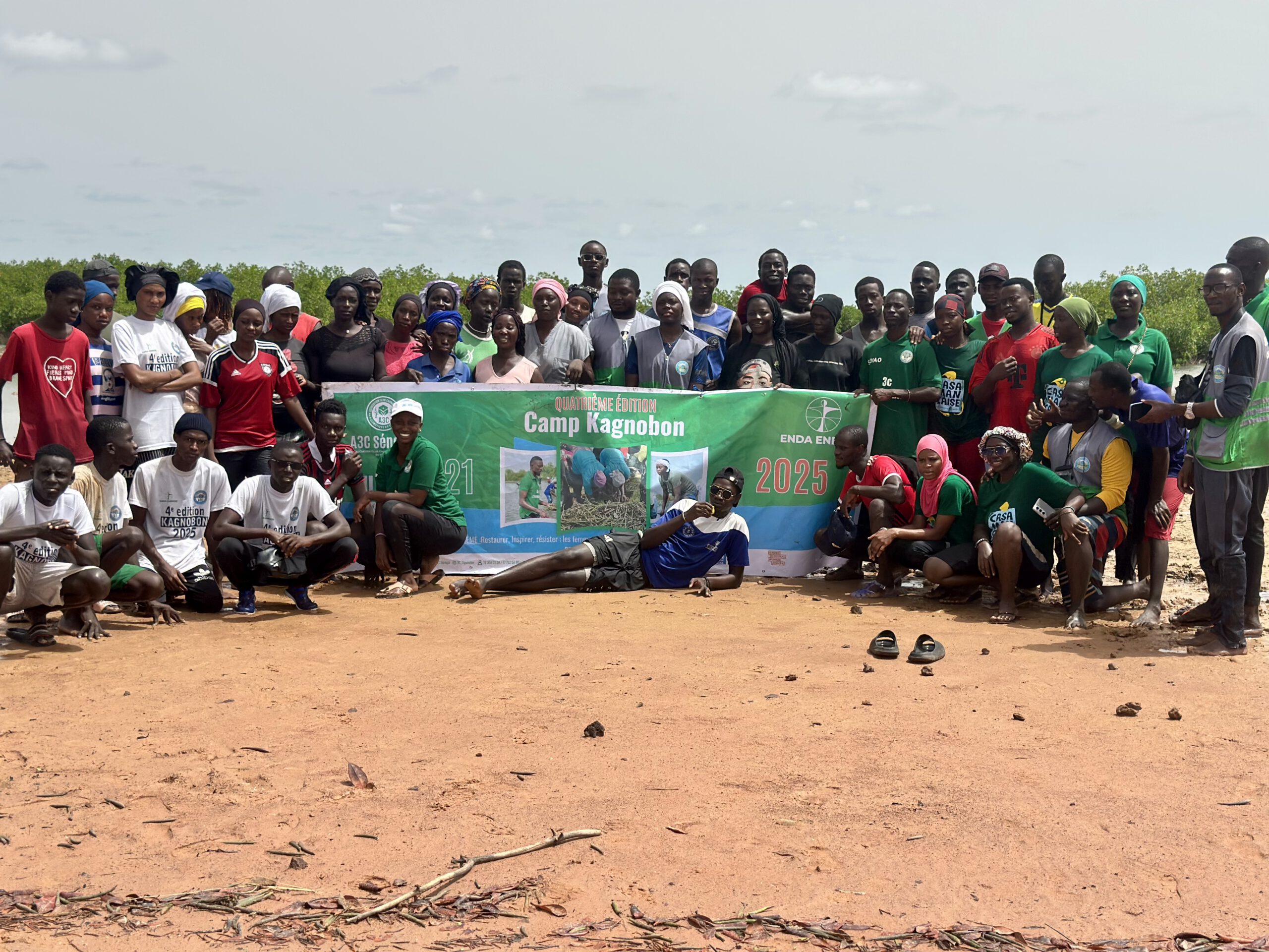 Mangrove verdoyante en Casamance