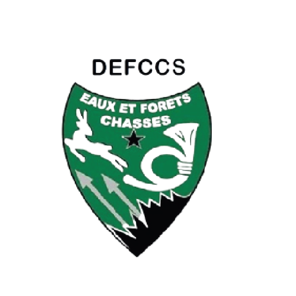 Logo Enda Énergie